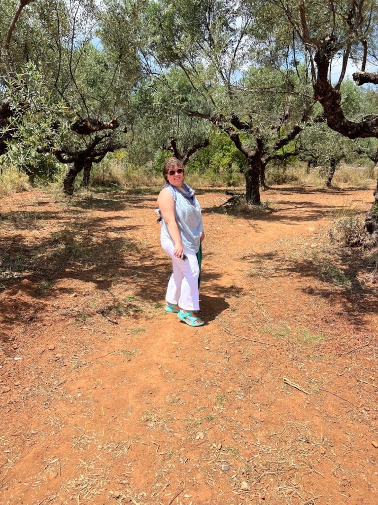 Finding our way through the olive grove